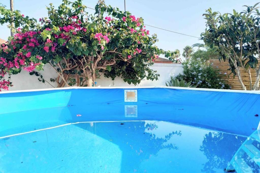 Apartamento Privado Con Jardin, Piscina Elevada Y Bbq Chiclana de la Frontera Eksteriør billede